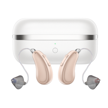 RIC Hearing Aids