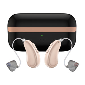 BH-R55-01 RIC Hearing Aid